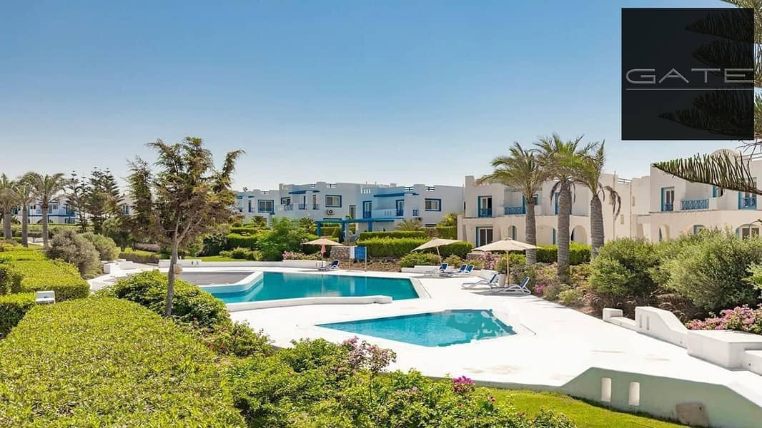 3 355484950_217757414491977_1621346630754324095_n. jpg