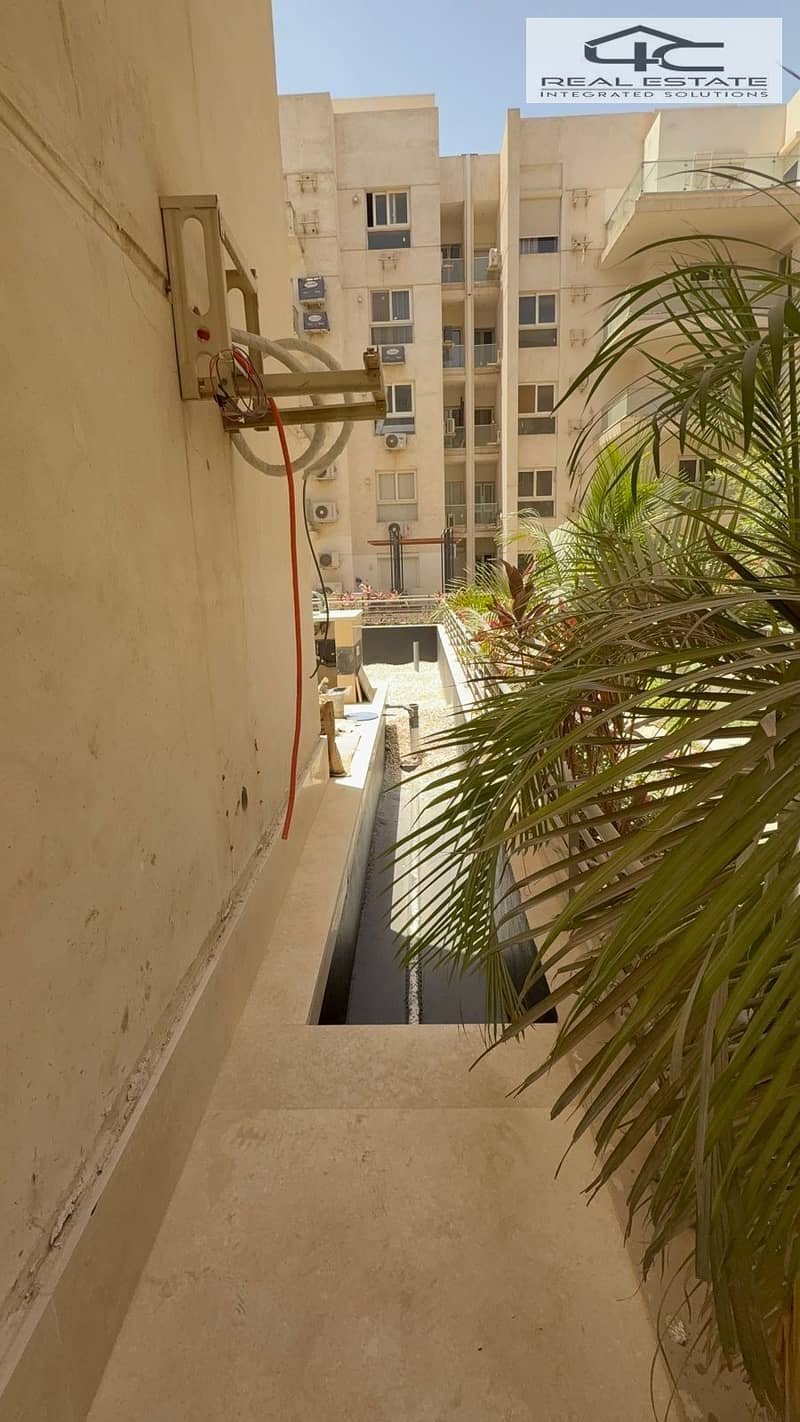 5 6d7629d2-a712-4601-b35f-82b06fd98058_Rahma_Mashaly. jpeg