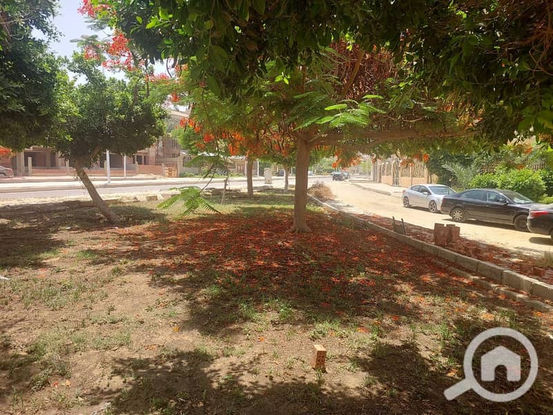 3 11de16c6-484b-45a1-b8de-3f81daa50631. jpg