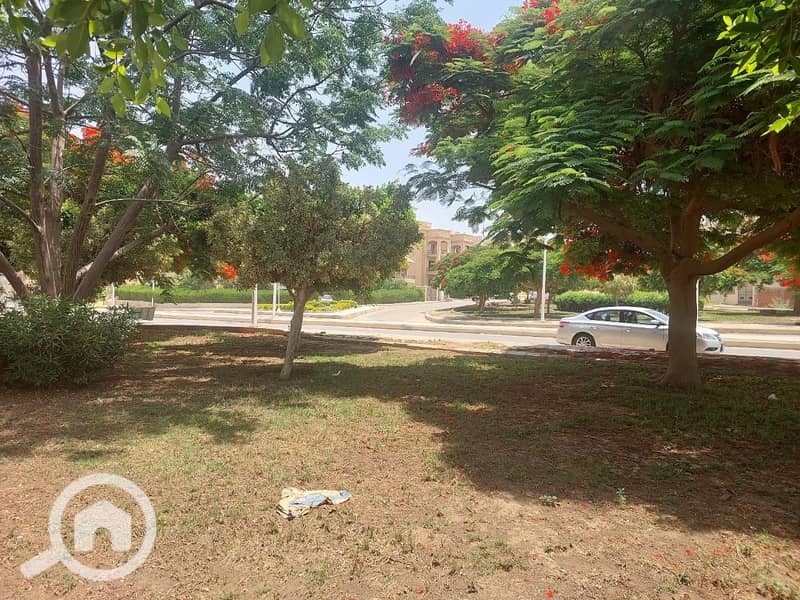 7 9594c564-c002-42b7-9817-2d3598ecfac1. jpg