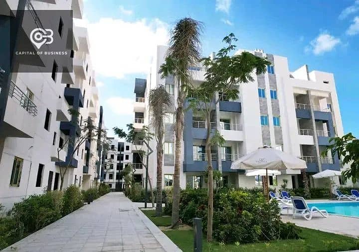 9 27374faa-51bc-4456-9aec-78991f7af56b. jpg