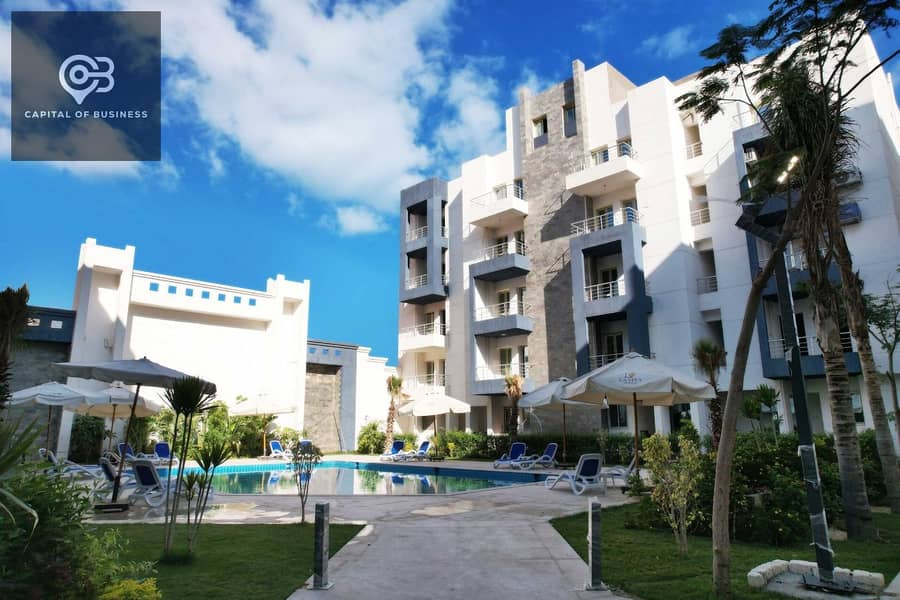 10 84553712-131d-4a85-aaac-39941c968928. jpg