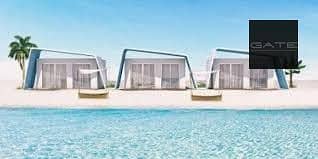 8 فوكا باي 8. jpeg