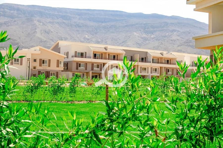 10 481321332_1175389244248678_5076354577813370005_n. jpg