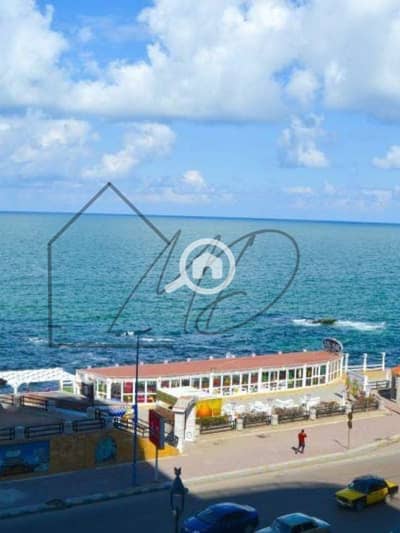 Office for Rent in Al Ibrahimiyyah, Alexandria - WhatsApp Image 2025-11-25 at 5.01. 07 PM (3). jpeg