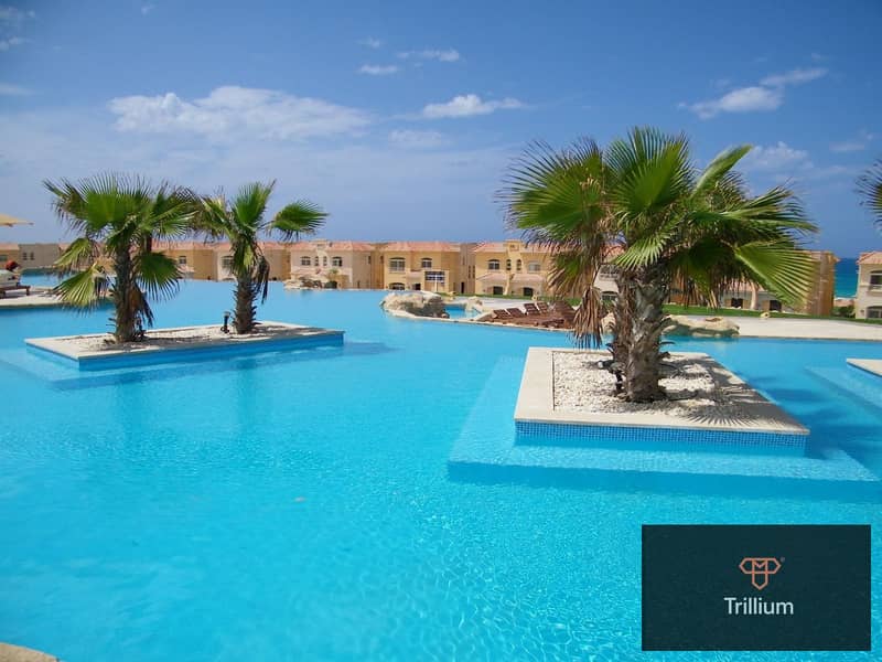 2 WhatsApp Image 2024-08-04 at 10.44. 34_0312b7fa. jpg