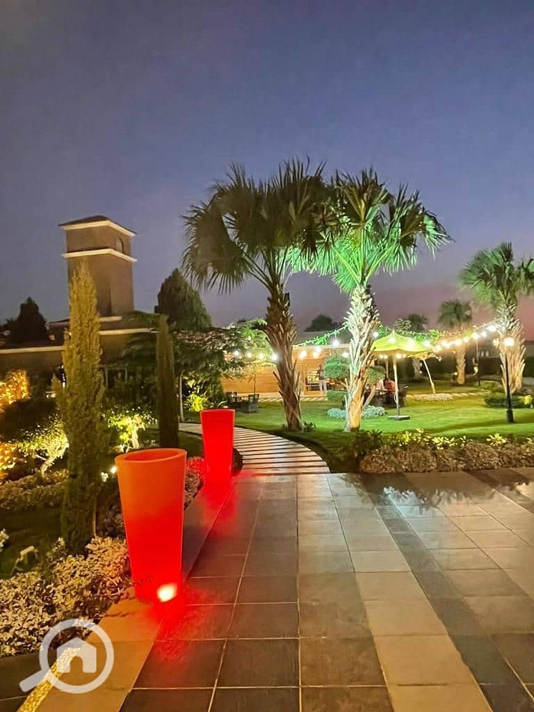 9 2024_07_24_23_05_IMG_2216. JPG