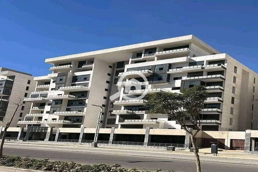 7 475857930_122205342866250566_6444979040789359287_n. jpg