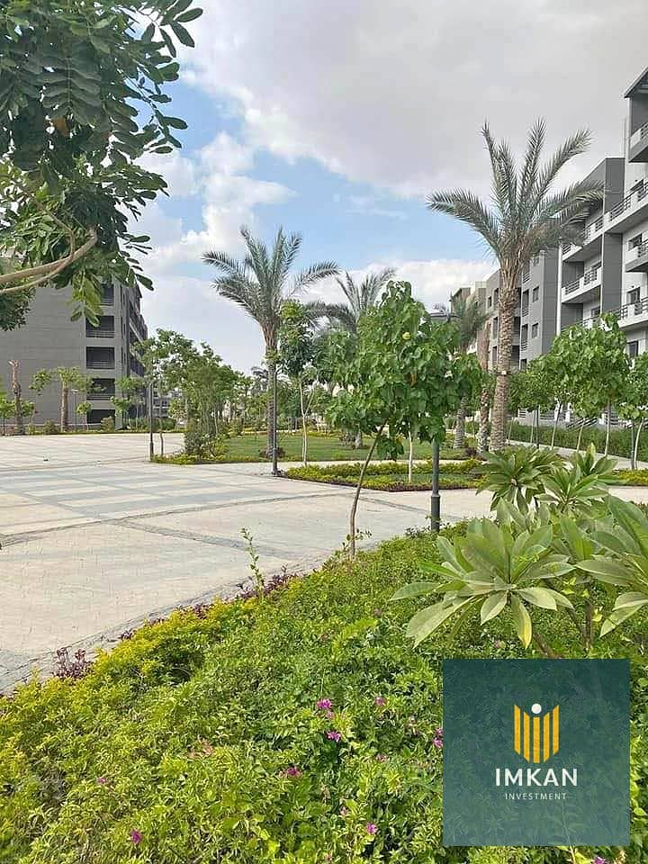 4 585562850_1370864271099145_8393960963924793596_n. jpg