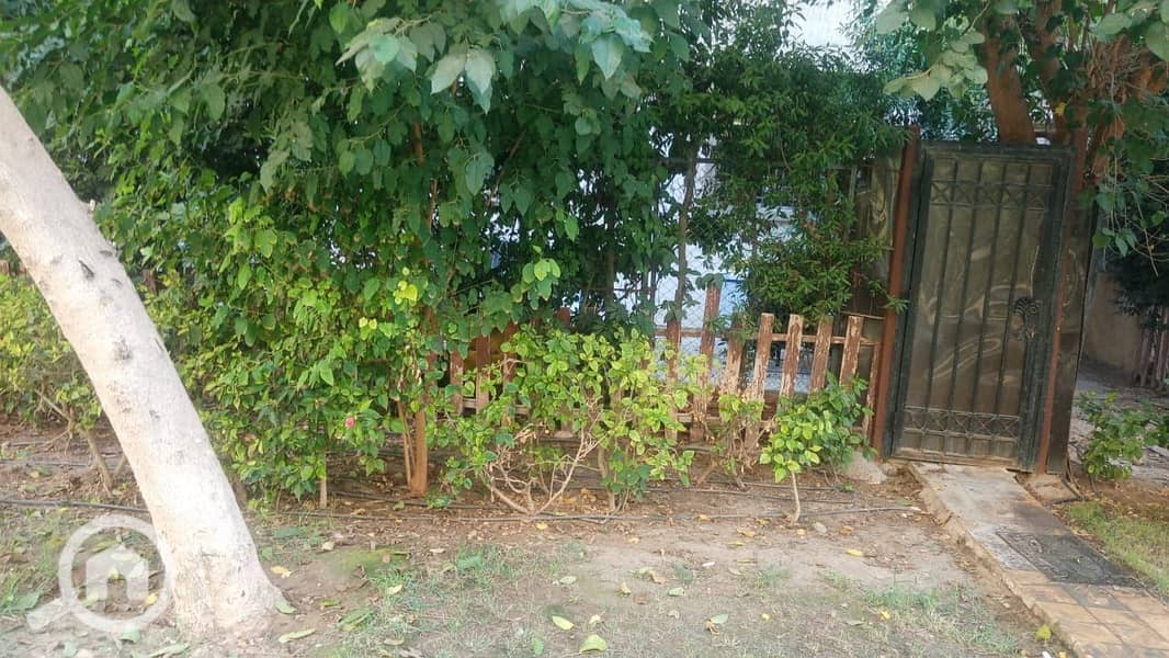 WhatsApp Image 2025-11-25 at 5.42. 50 PM (2). jpeg