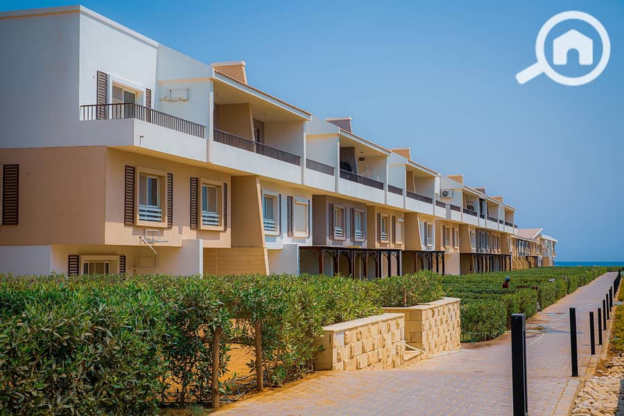 482028848_590391330666529_1429173982904293395_n. jpg