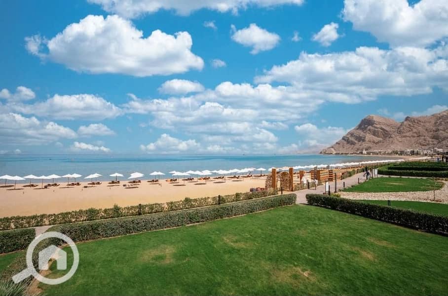 3 481701538_1318208996080480_6320403002126208994_n. jpg