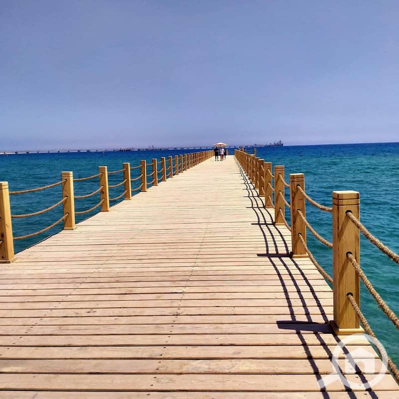 4 481675896_1867111014031497_7220313141612766694_n. jpg