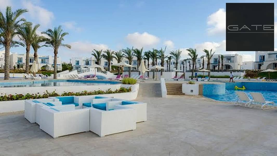 10 06e54687-8985-452c-859d-512dbc22c154. jpg