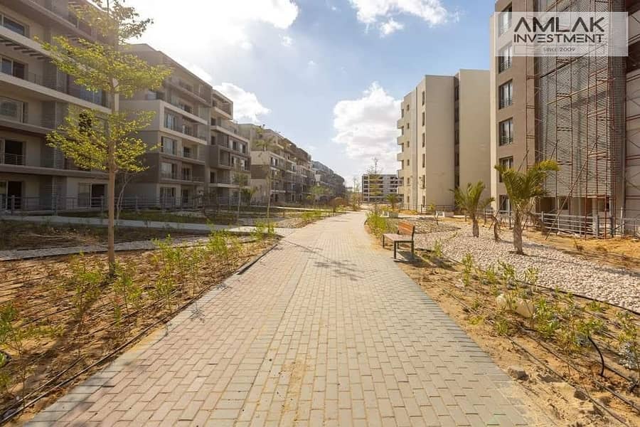 3 042c7b70-170d-4cef-9b58-f0cc9e7f648a. jpeg