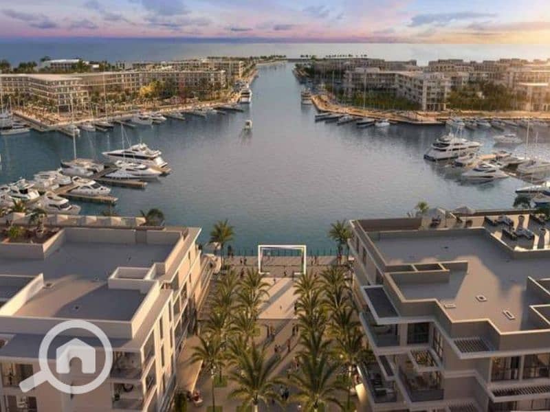 5 Untitled design (28) - Copy. png