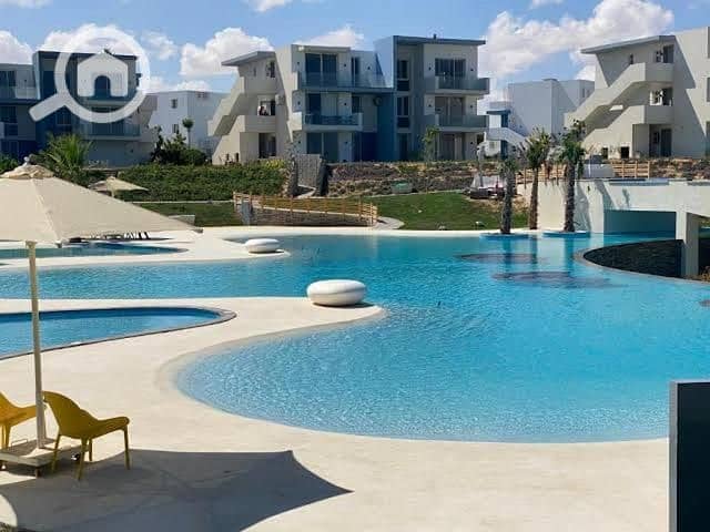 4 577759203 (4). jpg