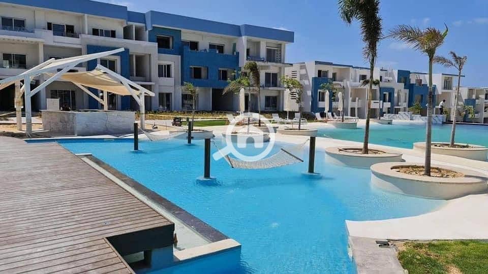 5 577748028 (3). jpg