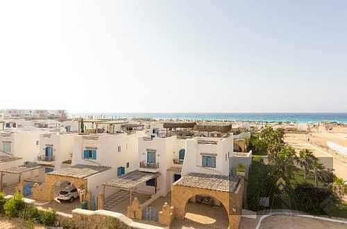 10 QCmwJjIndDylNw6xwJIKTsQC0UTjA7sasxq1kGtn. jpg