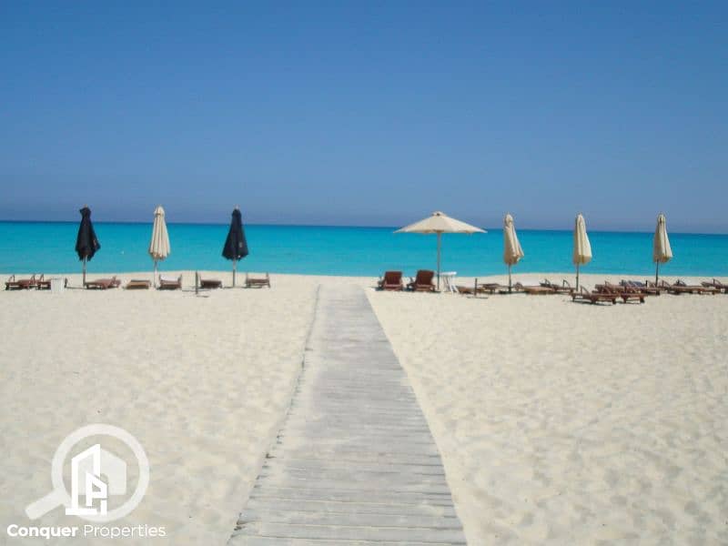 10 Untitled design - 2023-07-26T151156.238. png