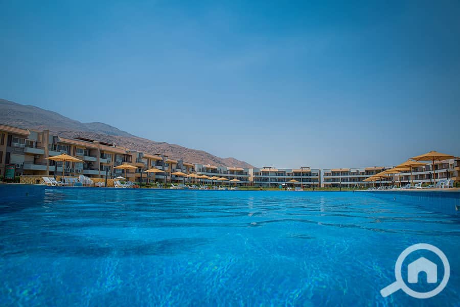 4 482083508_590390917333237_669448211304829416_n. jpg