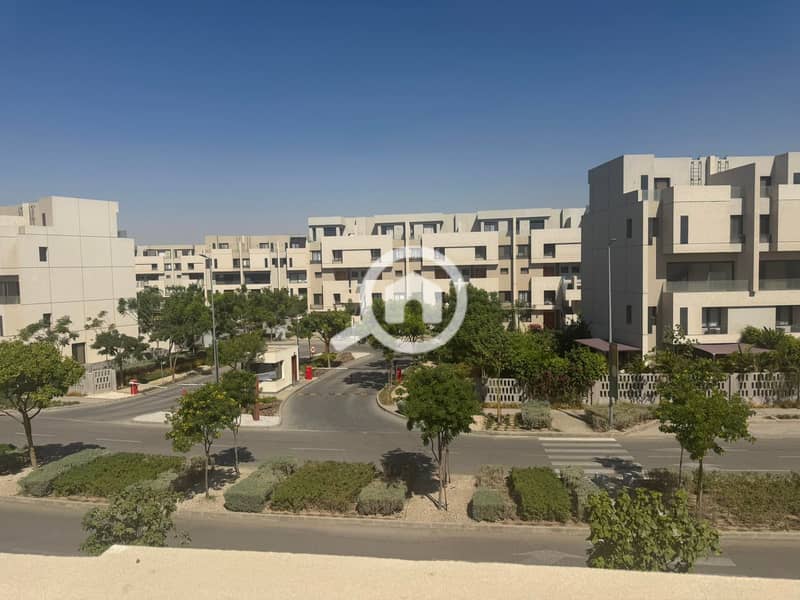 4 559913497_24492299180452885_6223388048450208875_n. jpg