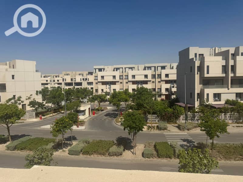 3 559913497_24492299180452885_6223388048450208875_n. jpg