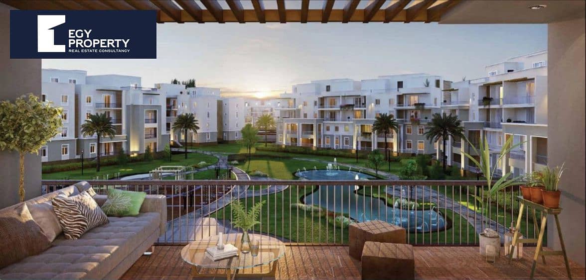 7 Life in Cairo Gate Sheikh Zayed. jpg