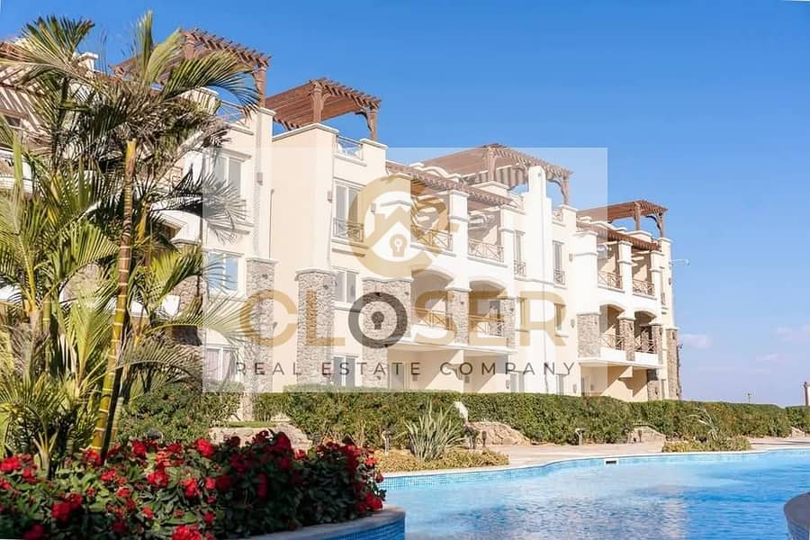 8 586926502_122152548230618434_5210389683423580674_n. jpg