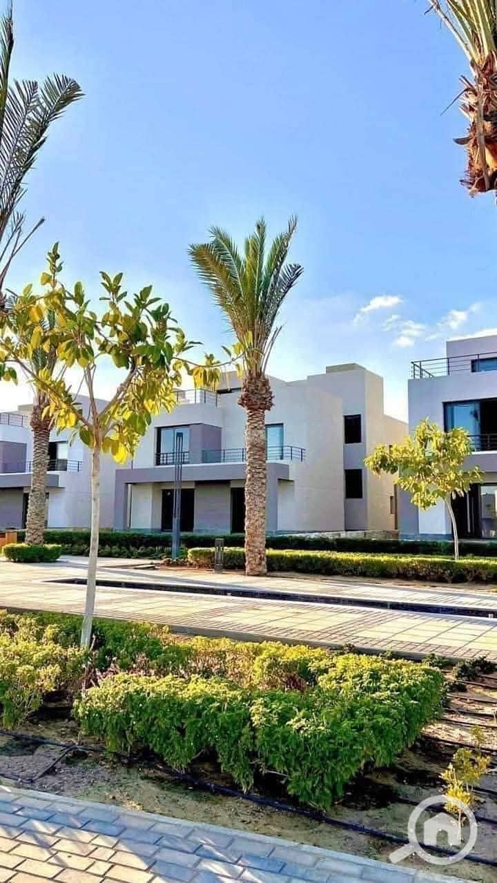 3 photo_2025-01-20_20-57-24. jpg