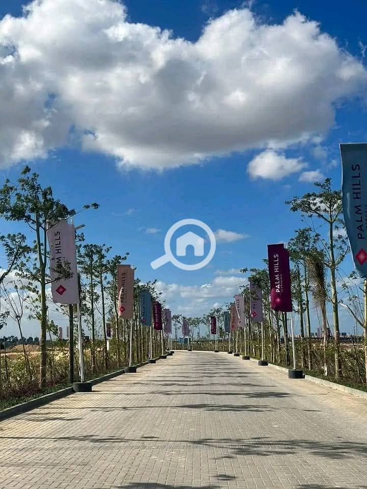 8 photo_2025-01-20_20-57-26. jpg