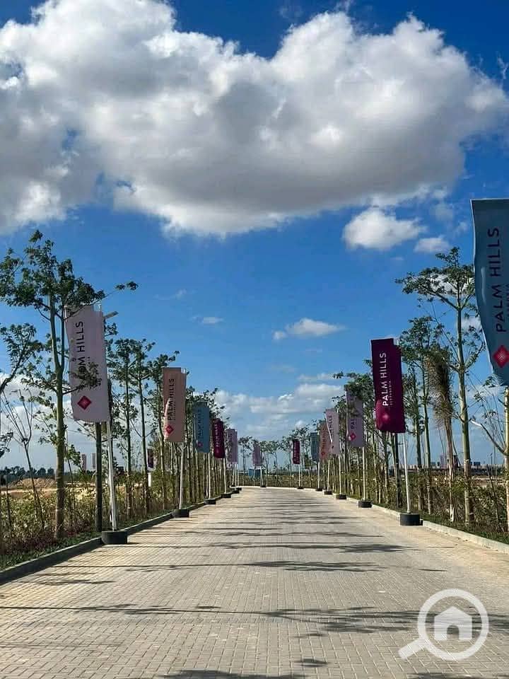 9 photo_2025-01-20_20-57-26. jpg