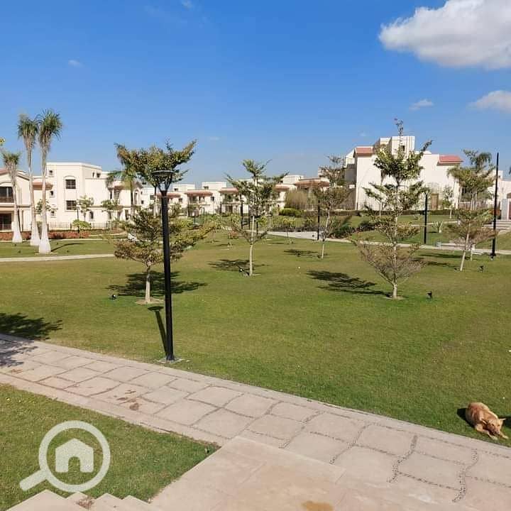 10 09bf748a-e170-45bc-af43-00428b36fef7. jpg