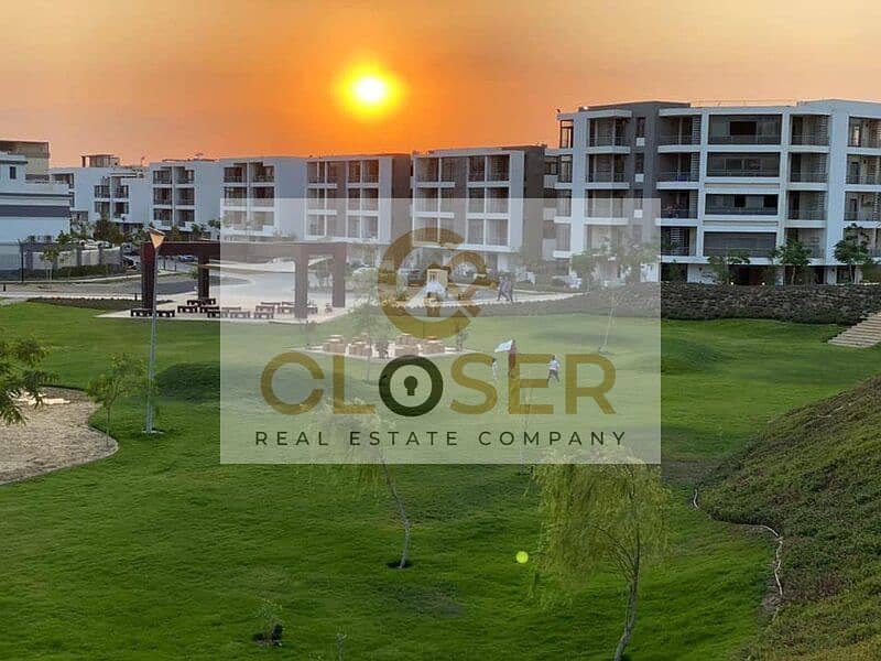 11 343171792_493390089579566_9053516768555375424_n. jpg