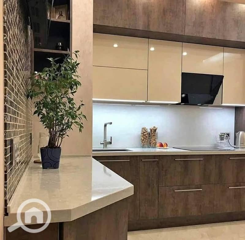 4 483387795_537036232742185_4075263482278082812_n. jpg