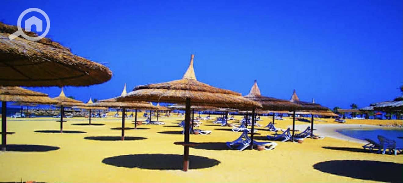 13 WhatsApp Image 2025-07-29 at 19.34. 35. jpeg