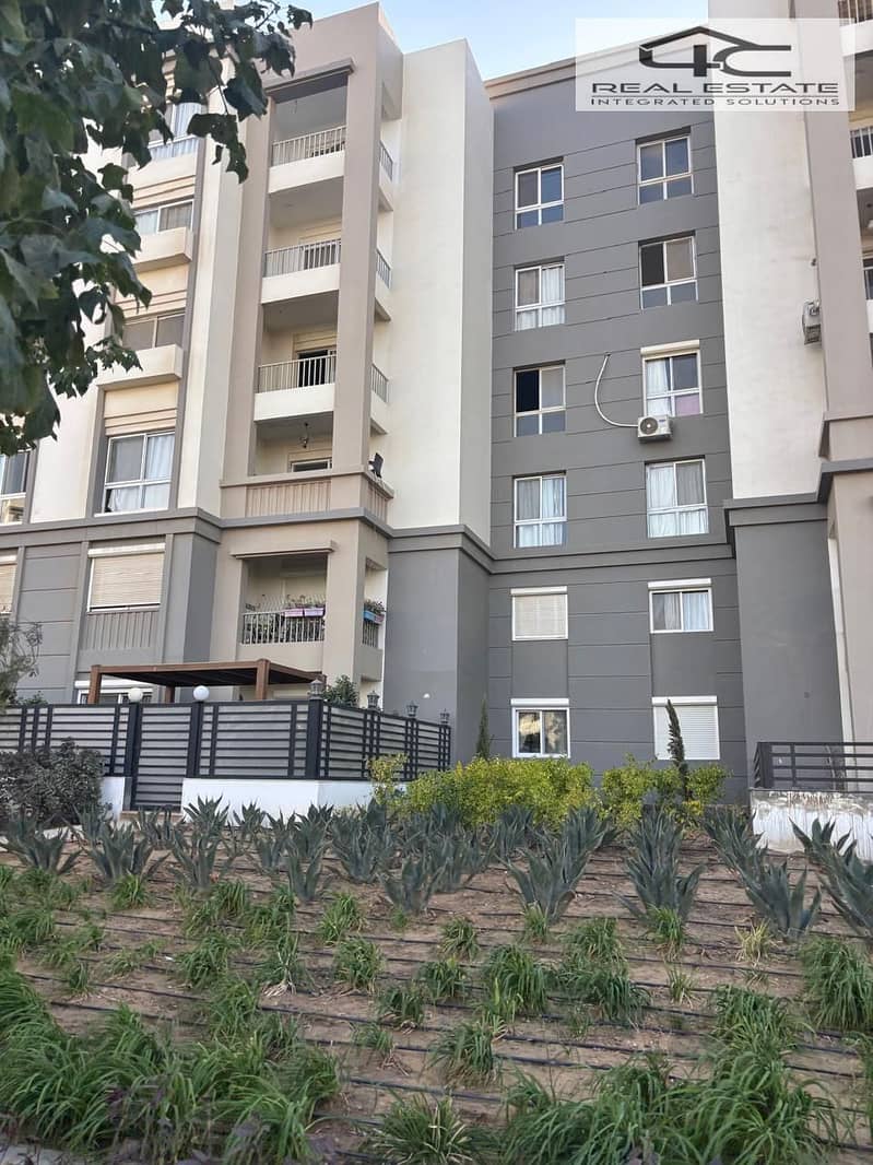 5 WhatsApp Image 2024-10-30 at 2.36. 15 PM (3). jpeg