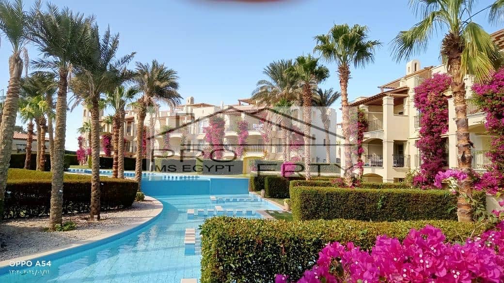 14 cbd5f4a6-b045-4b82-a75b-007240bf21a0. jpg