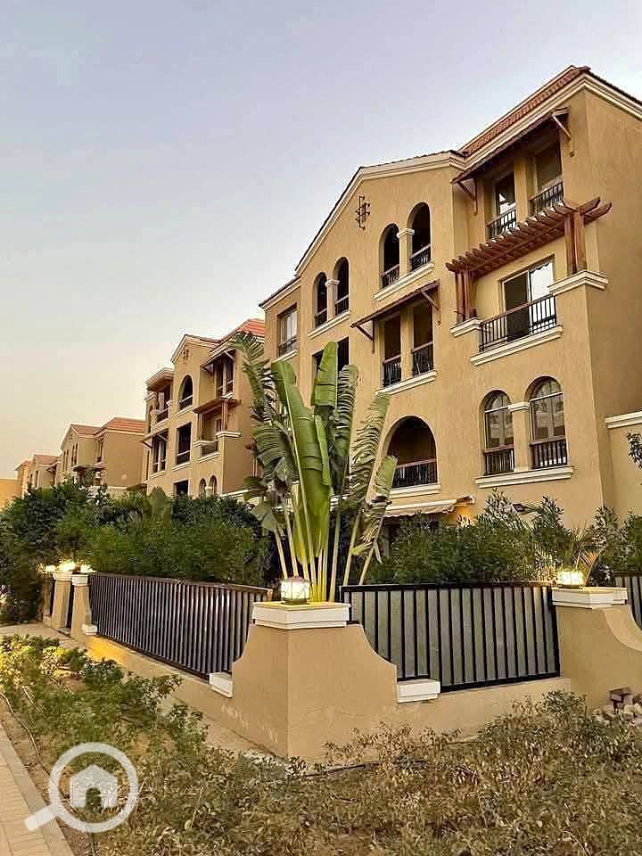 13 526216148_2390605794672213_7328471016769373389_n. jpg