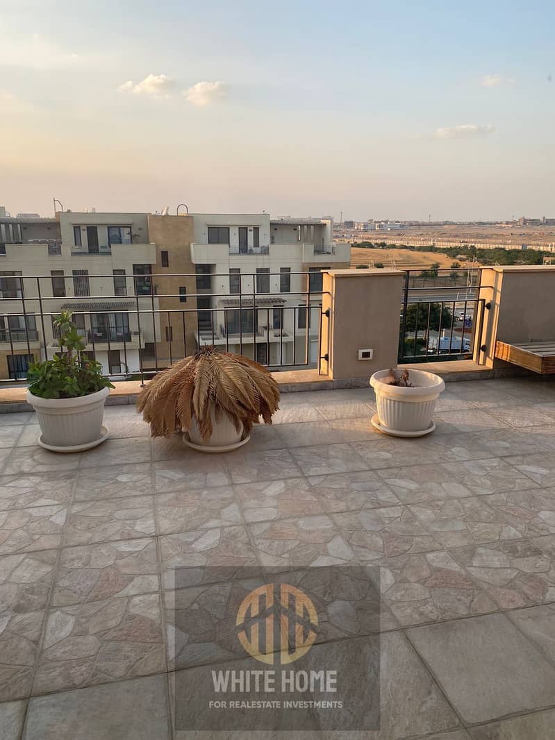 10 f6ebca05-7b72-4c35-80cc-32a5e7f823d3. jpeg