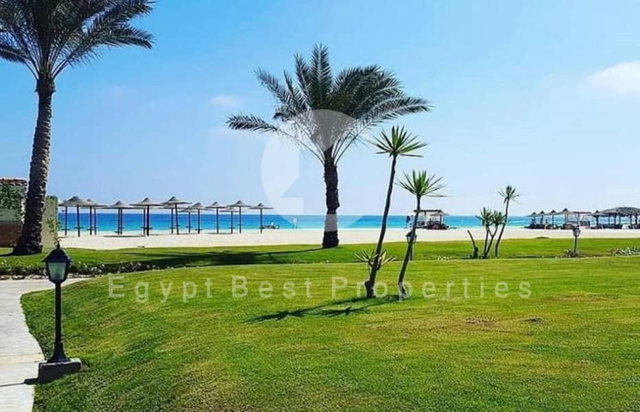 24 6002753-45302o. jpg