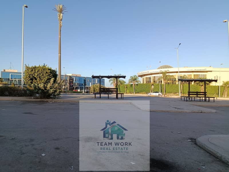 9 IMG_20251107_154945. jpg