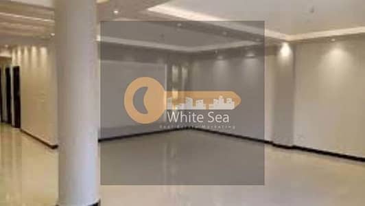 مکتب  للايجار في سموحة، الإسكندرية - 107. jpg