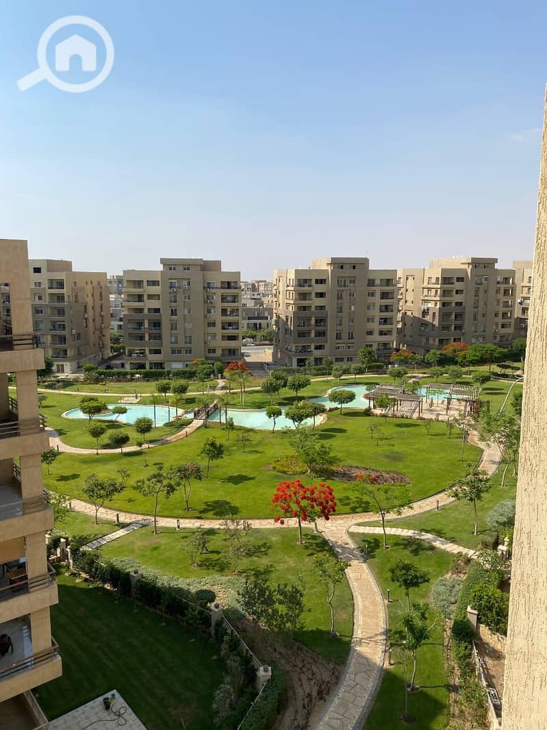 12 85594bf1-5ffc-4987-abaa-9d79271b15e4. jpg