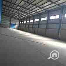 1000245180. jpg 1000245180. jpg