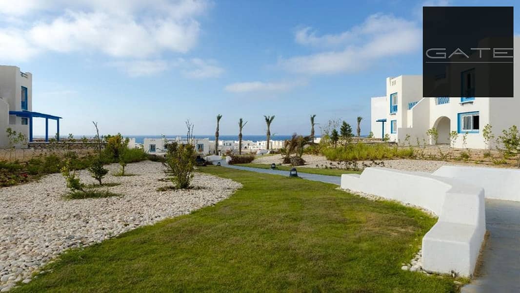 4 WhatsApp Image 2024-08-15 at 4.23. 11 PM. jpeg