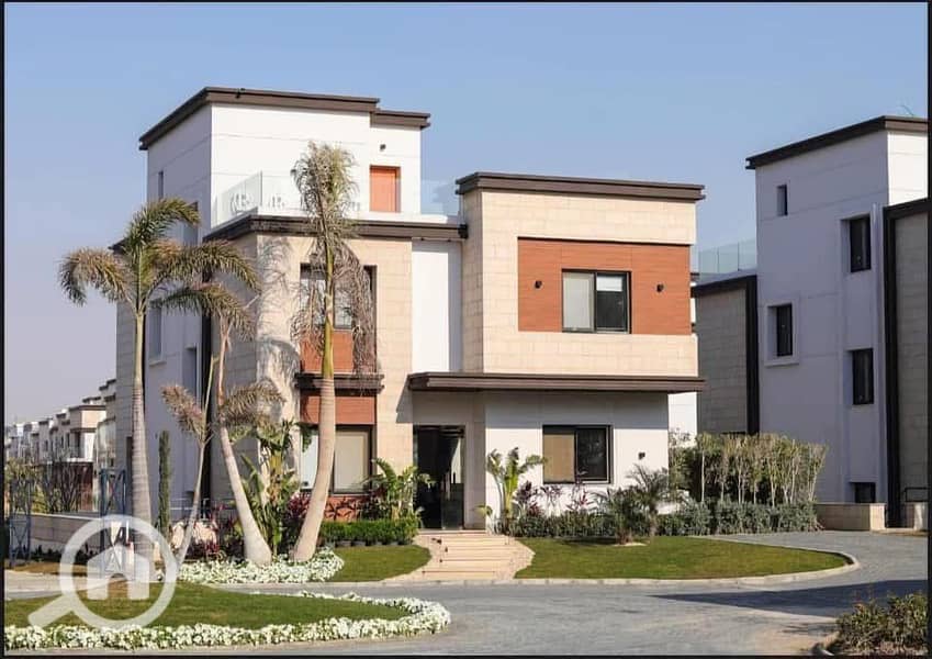 9 photo_2025-03-14_22-53-52. jpg