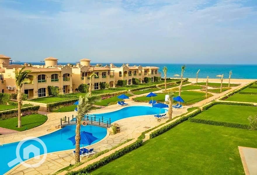 6 564406785_830235886137450_7572106558018031685_n. jpg