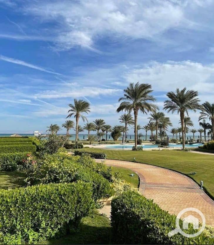 7 568660740_828289322919228_3555903833755436177_n. jpg