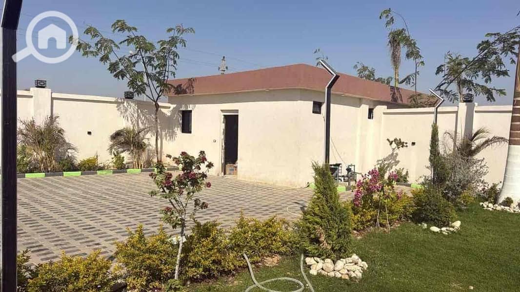 9 21a56096-69da-4627-91c4-4d51e59ab49a. jpg